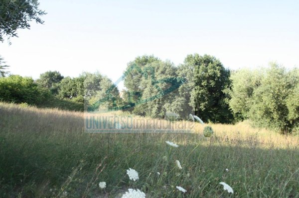 casa indipendente a Castel di Lama in zona Piattoni/Villa Sant'Antonio