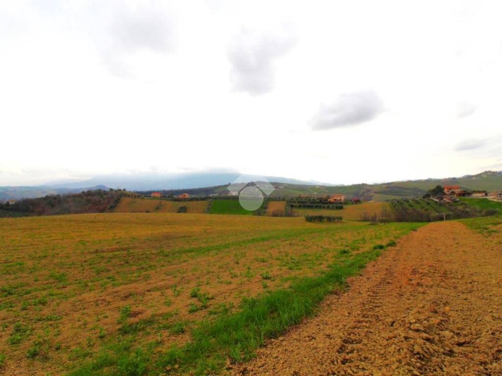 terreno agricolo in vendita a Castel di Lama