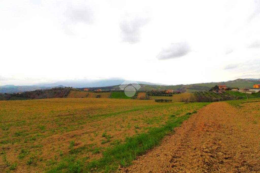 terreno agricolo in vendita a Castel di Lama