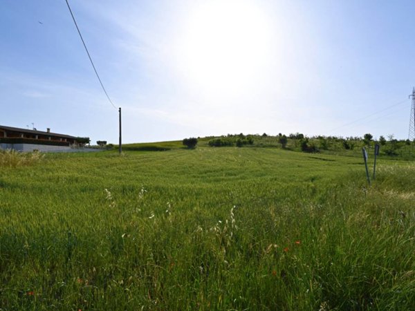 terreno agricolo in vendita a Castel di Lama