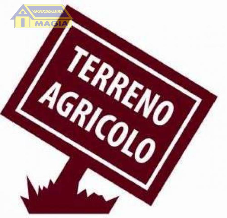 terreno agricolo in vendita a Castel di Lama