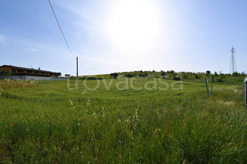 terreno agricolo in vendita a Castel di Lama