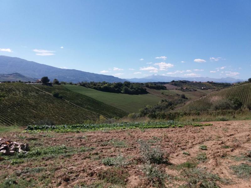 terreno edificabile in vendita a Castel di Lama