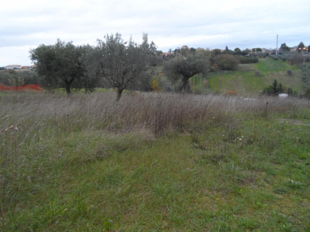 terreno edificabile a Castel di Lama in zona Piattoni/Villa Sant'Antonio