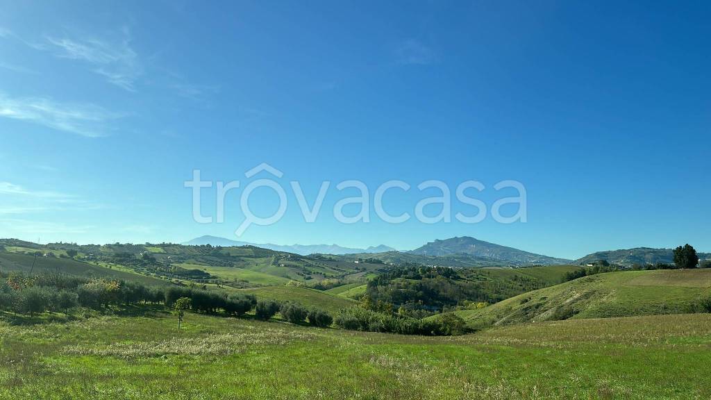 terreno agricolo in vendita a Castel di Lama