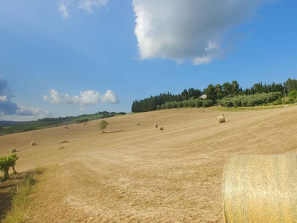 terreno agricolo in vendita a Castel di Lama