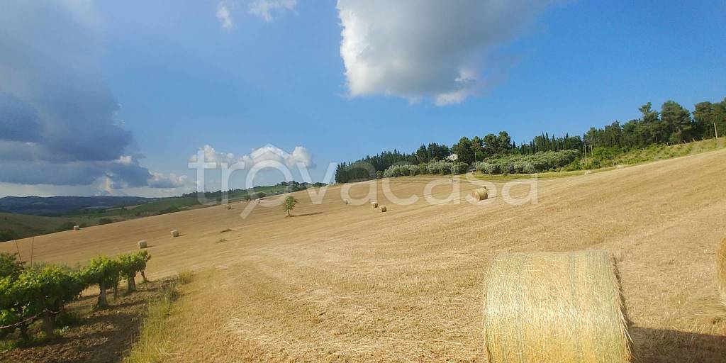 terreno agricolo in vendita a Castel di Lama