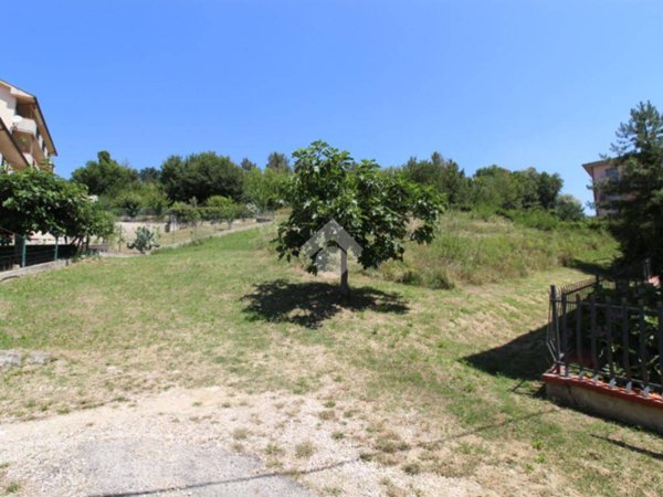 terreno agricolo in vendita a Castel di Lama in zona Piattoni/Villa Sant'Antonio