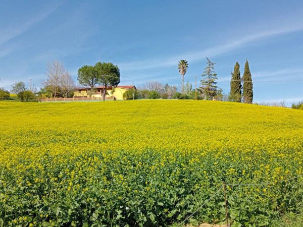 casa indipendente in vendita a Castel di Lama