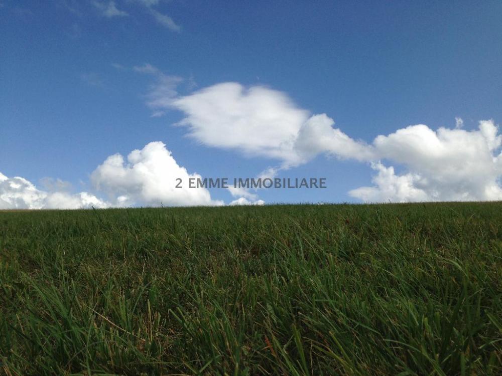 terreno edificabile a Castel di Lama in zona Piattoni/Villa Sant'Antonio