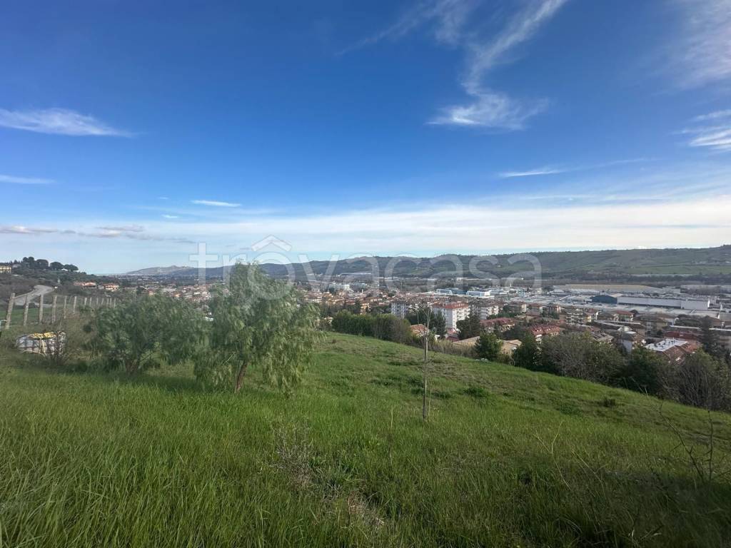 terreno agricolo in vendita a Castel di Lama