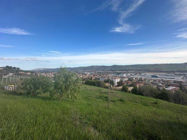 terreno agricolo in vendita a Castel di Lama