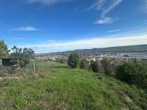 terreno agricolo in vendita a Castel di Lama