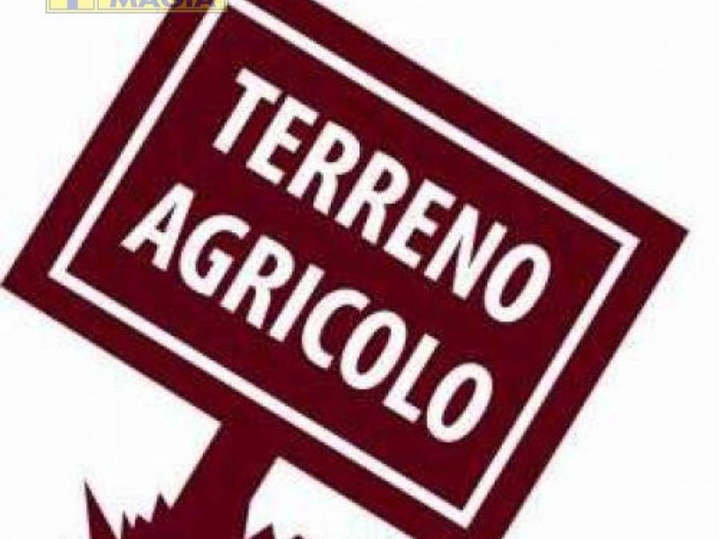 terreno agricolo in vendita a Castel di Lama
