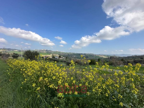terreno edificabile a Castel di Lama in zona Piattoni/Villa Sant'Antonio