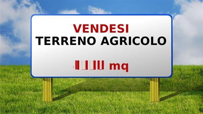 terreno agricolo in vendita a Castel di Lama