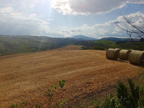 terreno agricolo in vendita a Castel di Lama