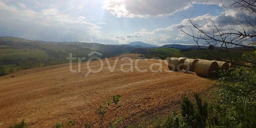 terreno agricolo in vendita a Castel di Lama