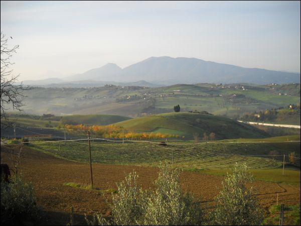 casa indipendente in vendita a Castel di Lama
