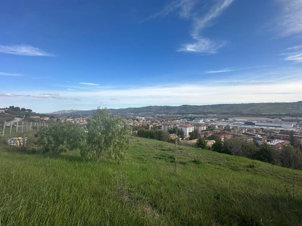 terreno agricolo in vendita a Castel di Lama in zona Piattoni/Villa Sant'Antonio