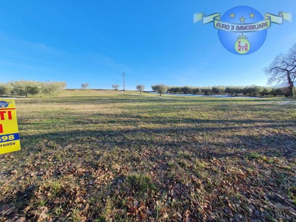 terreno agricolo in vendita a Castel di Lama