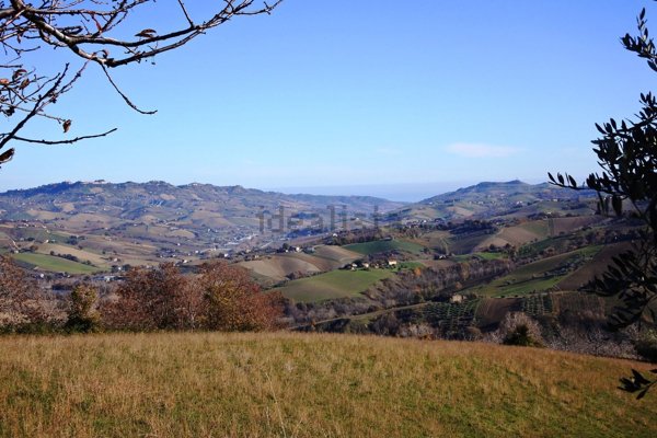 pentavano in vendita a Castignano
