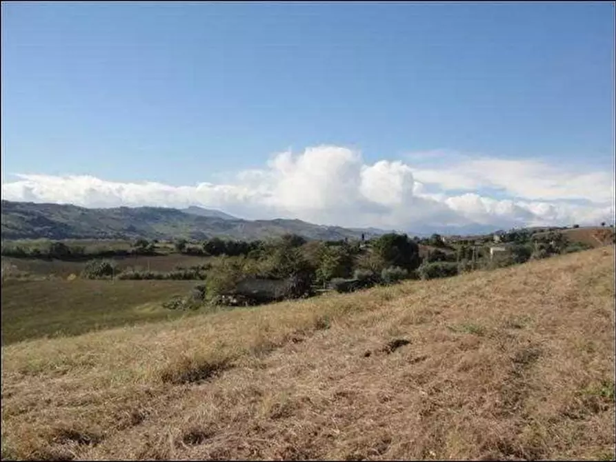terreno agricolo in vendita a Castignano in zona Ripaberarda