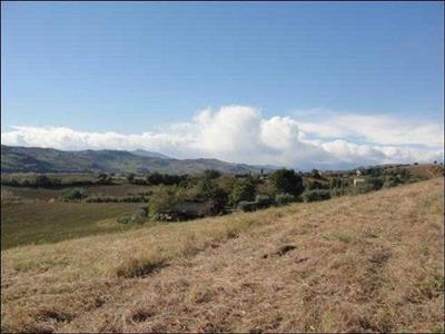 terreno agricolo in vendita a Castignano in zona Ripaberarda