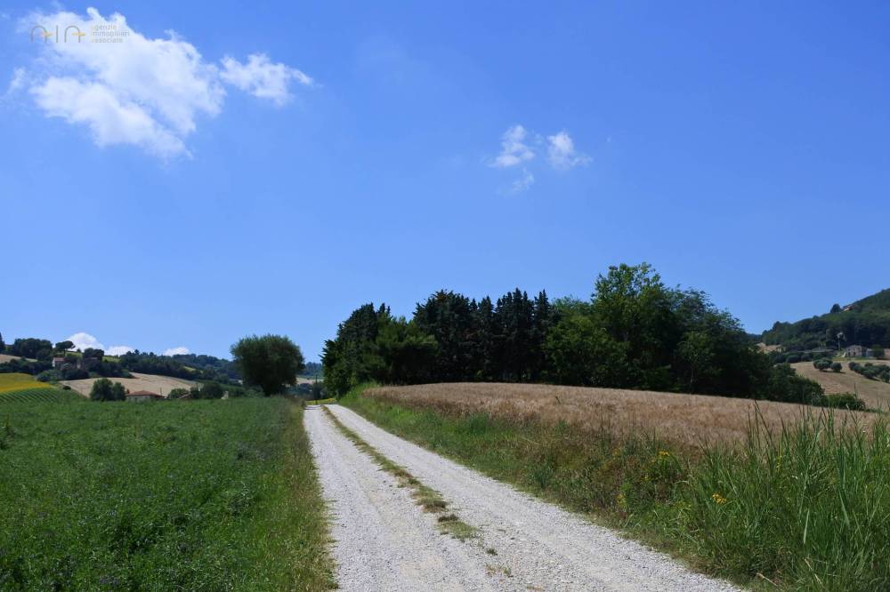casa indipendente in vendita a Castignano