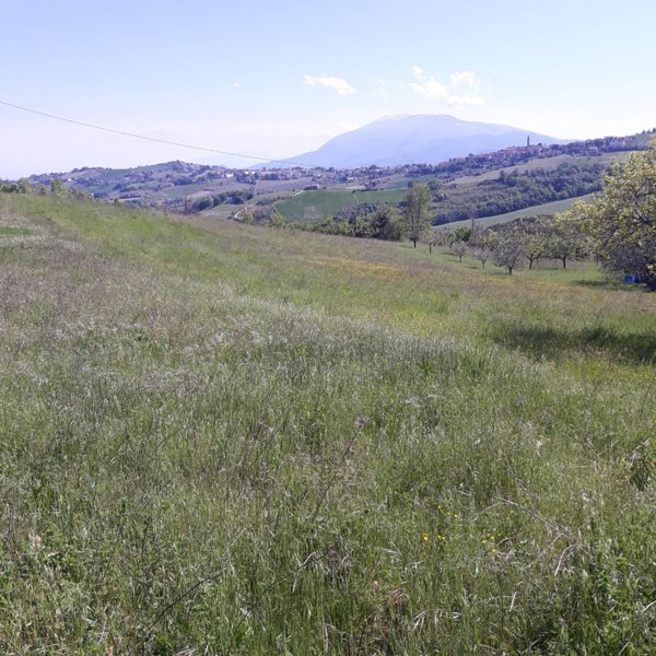 terreno edificabile in vendita a Castignano