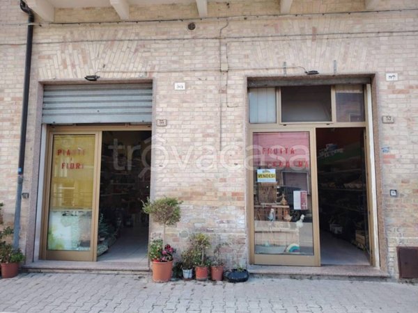 appartamento in vendita a Castignano