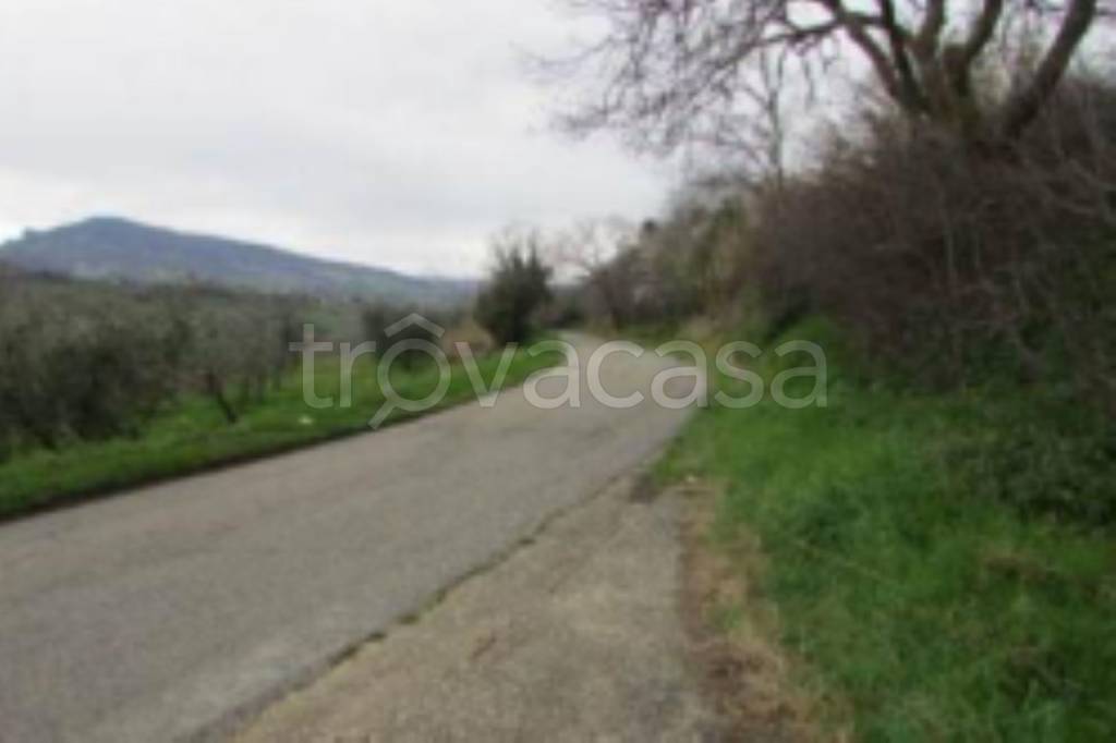 casa indipendente in vendita a Castignano