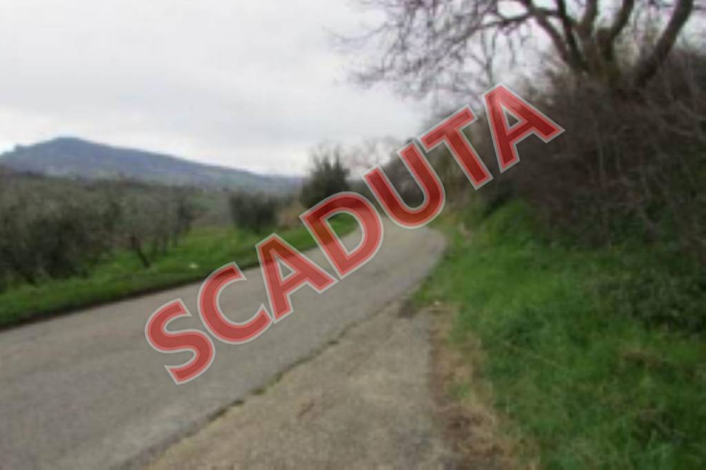 terreno agricolo in vendita a Castignano