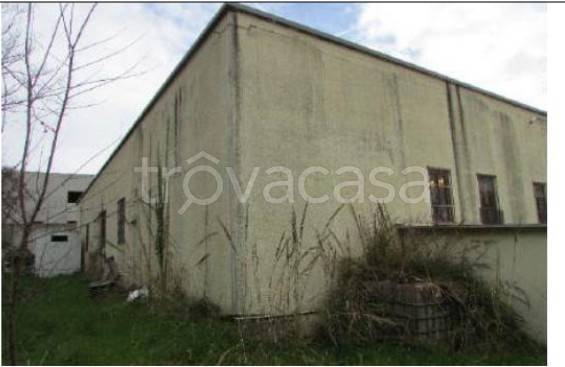 appartamento in vendita a Castignano
