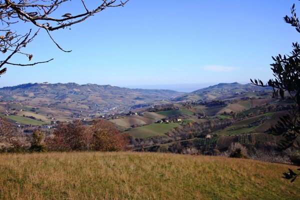 casa indipendente in vendita a Castignano