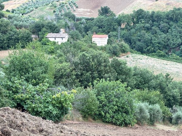 casale in vendita a Castignano