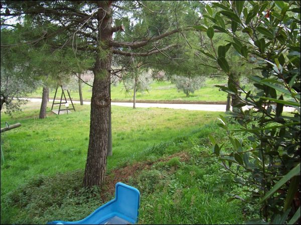 casa indipendente in vendita a Castignano in zona Ripaberarda