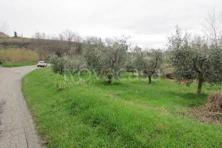 appartamento in vendita a Castignano