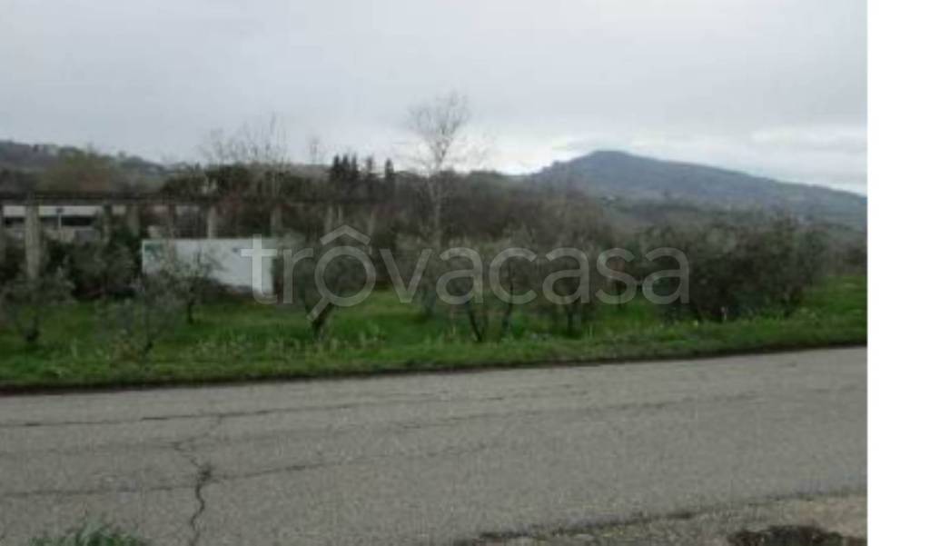 terreno agricolo in vendita a Castignano
