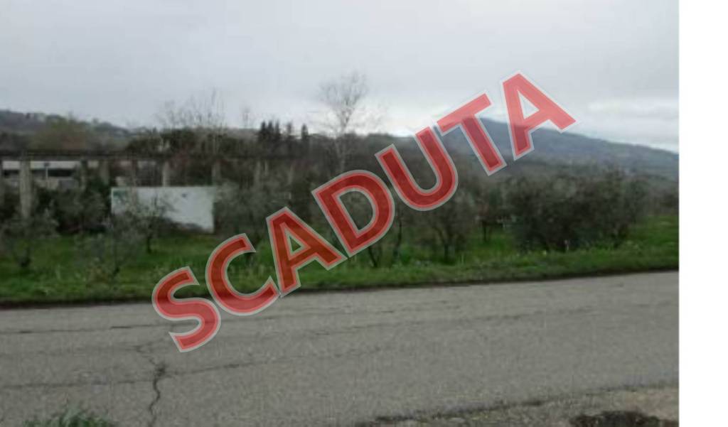 terreno agricolo in vendita a Castignano