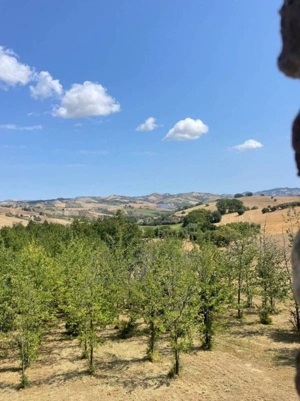 casa indipendente in vendita a Castignano