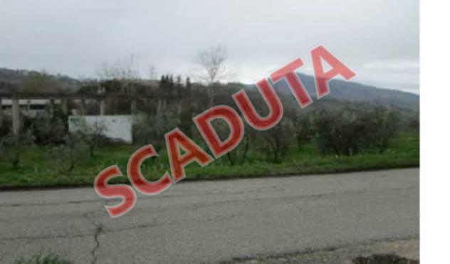 terreno agricolo in vendita a Castignano