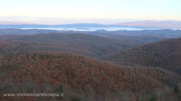 appartamento in vendita a Castignano