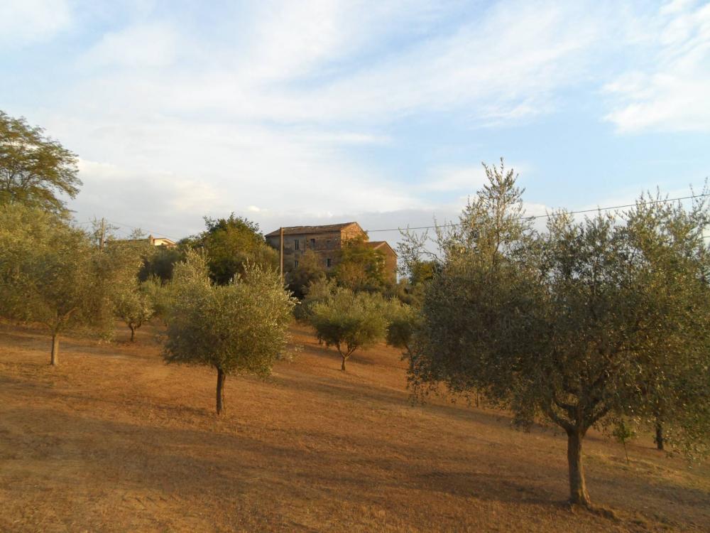 casa indipendente in vendita a Castorano in zona San Silvestro