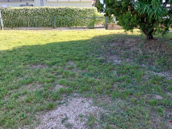 casa indipendente in vendita a Castorano