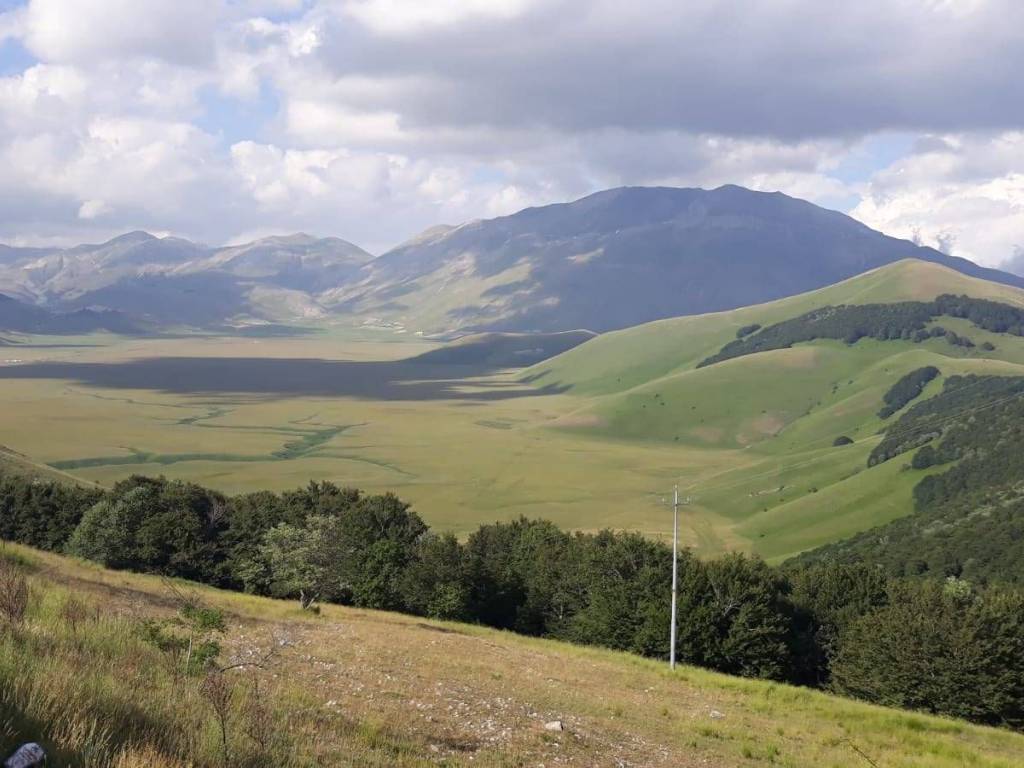 terreno agricolo in vendita a Castorano
