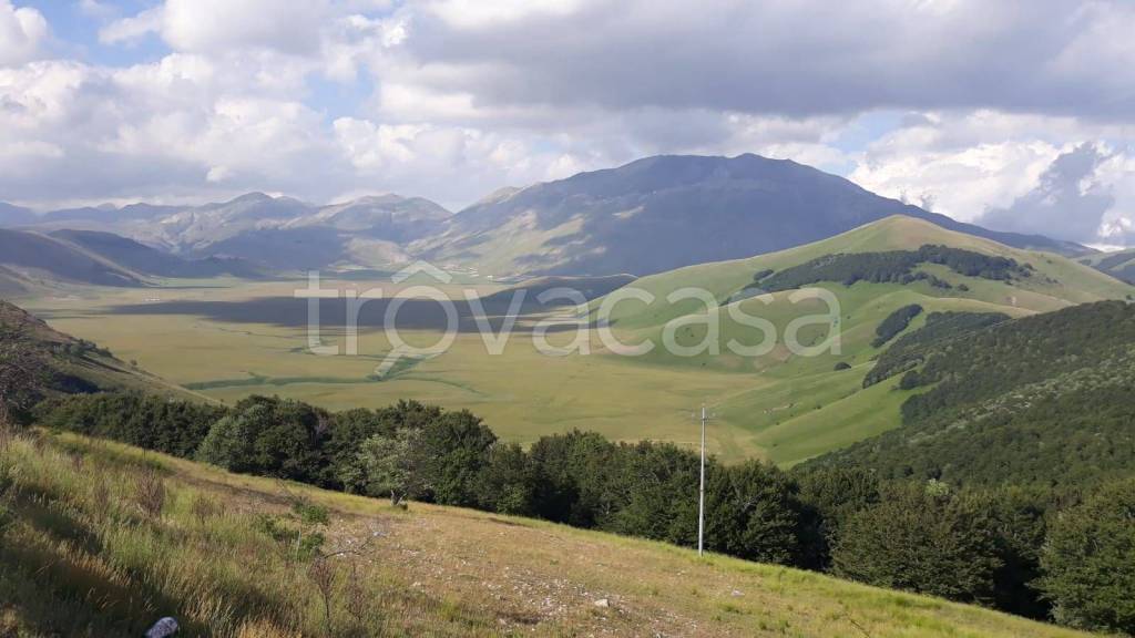 terreno agricolo in vendita a Castorano