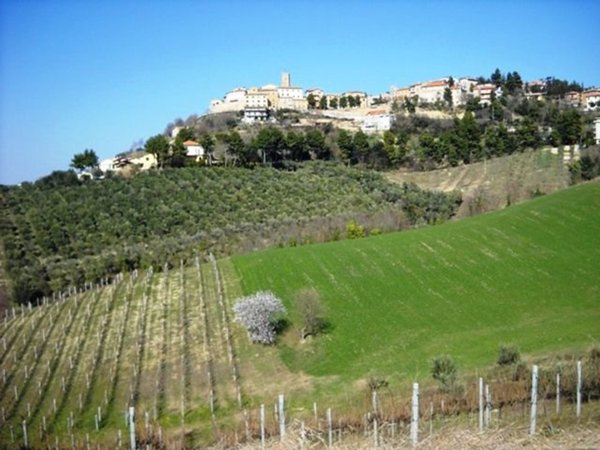 terreno in vendita a Castorano