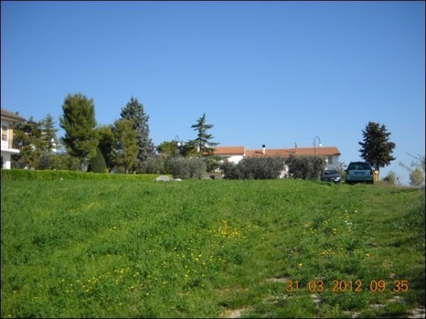 immagine annuncio 0 di 6