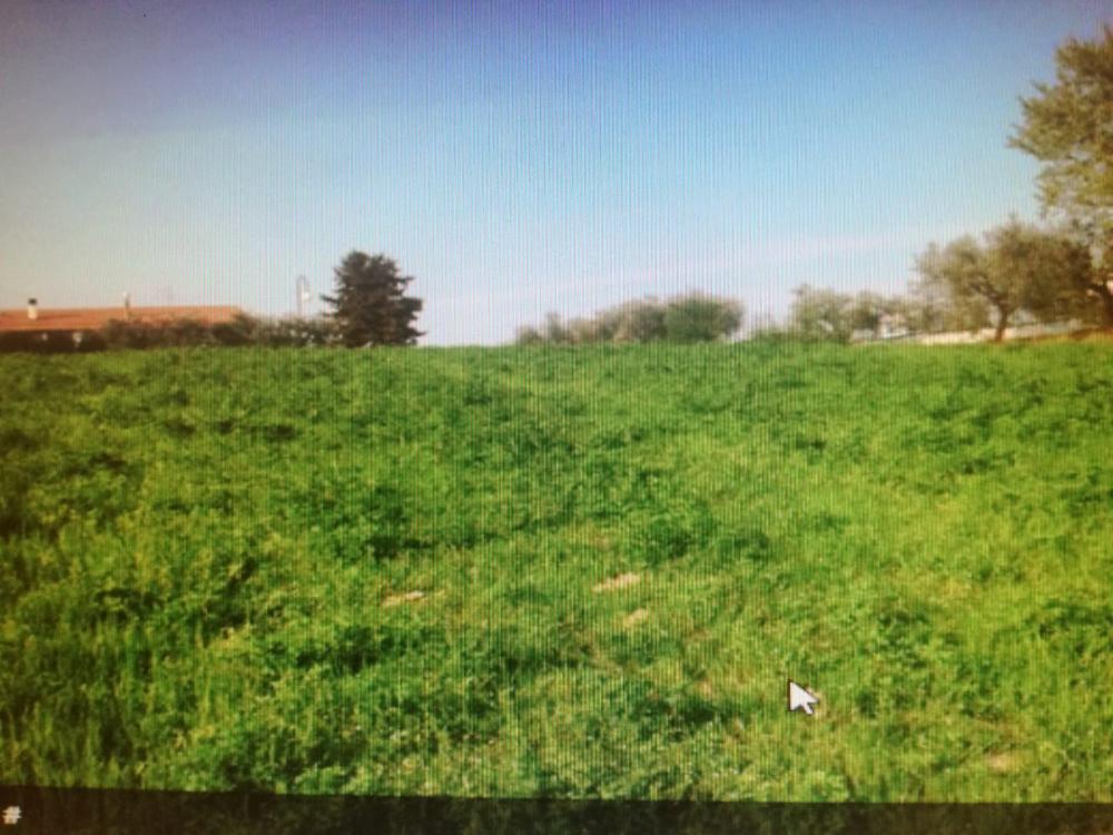 terreno agricolo in vendita a Castorano